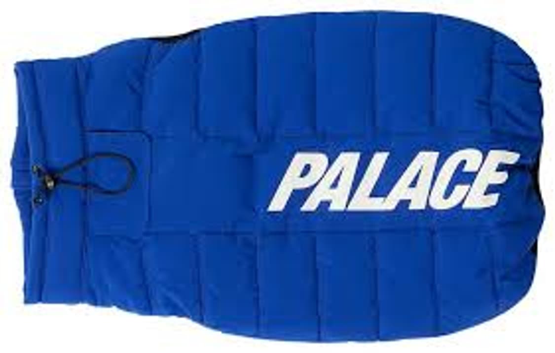 팔라스 도그 푸파 블루 - 24FW L 새제품 상품이미지3