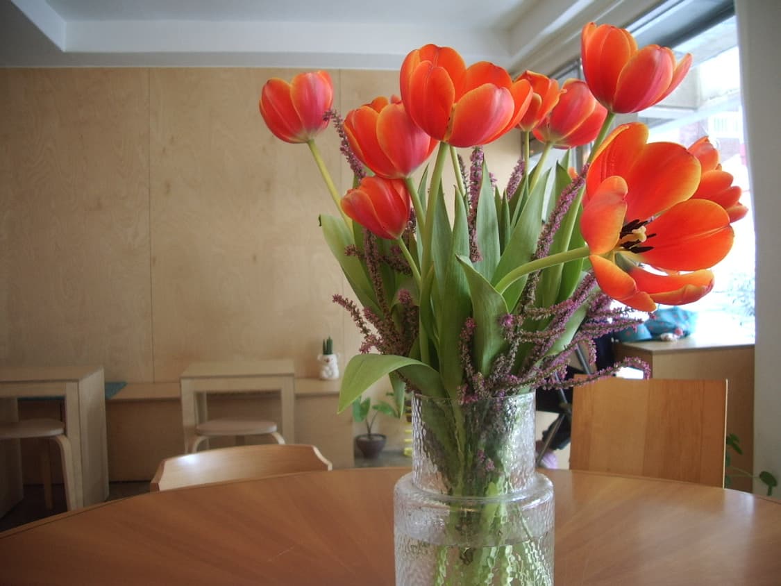 펜탁스 옵티오 s40 디지털 카메라 상품이미지8