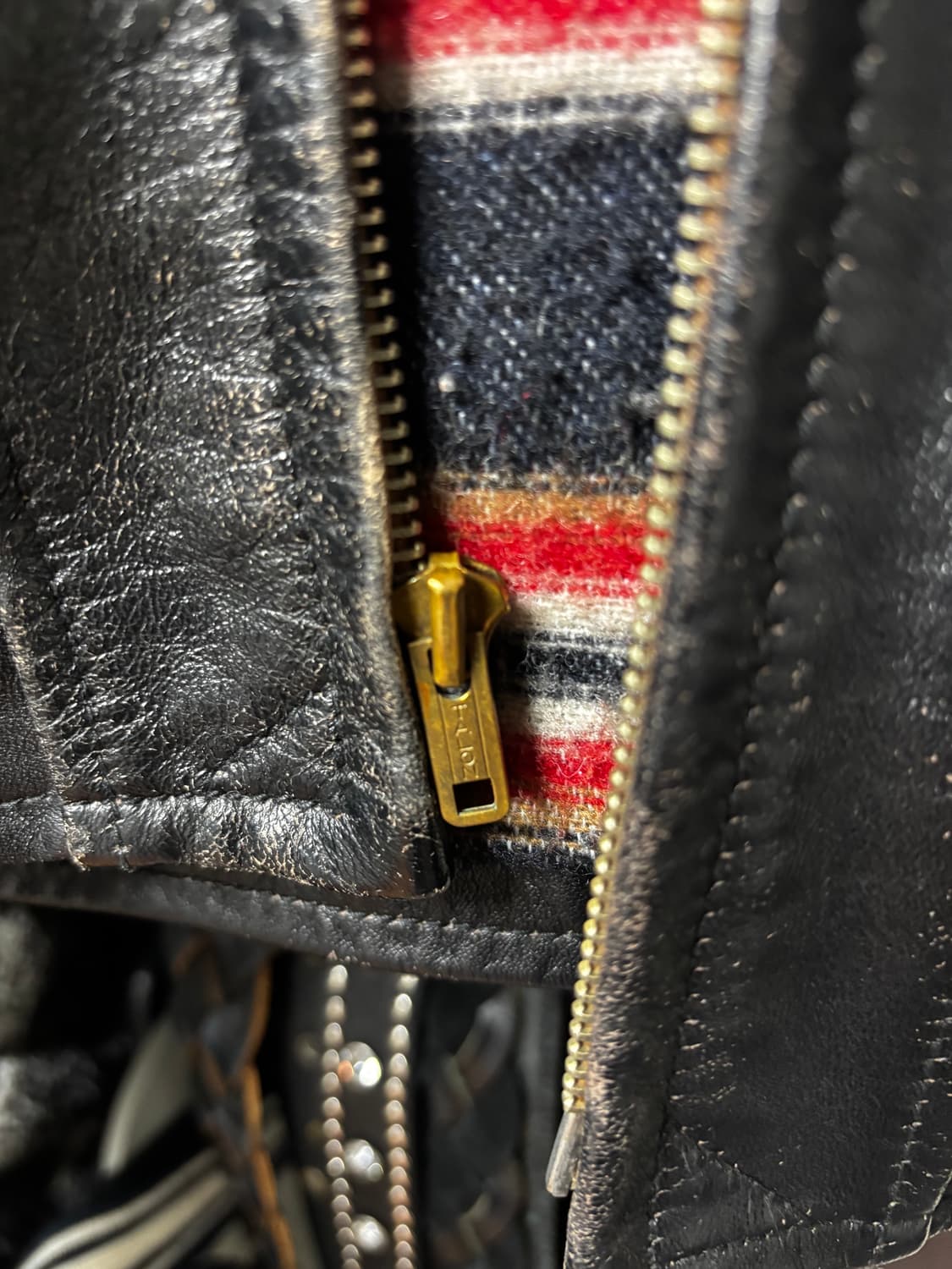 디아프바인그리즐리 상품이미지3