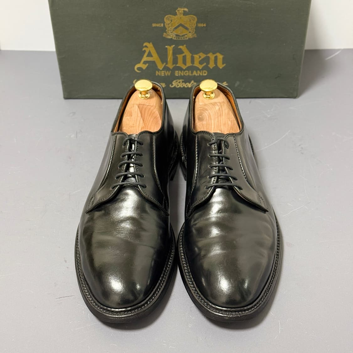 [11.5E] 알든 9901 블랙 코도반 더비  상품이미지1