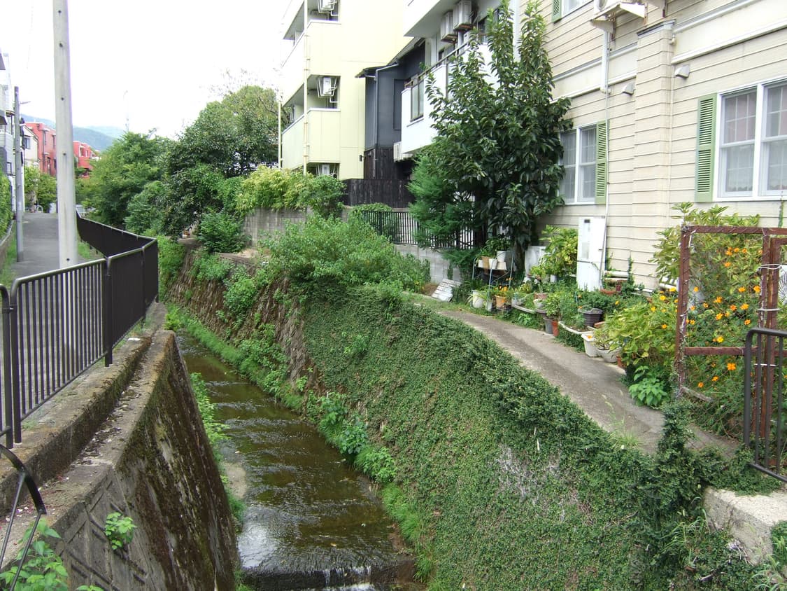 후지필름 파인픽스 f30 FUJIFILM FINEPIX F30 상품이미지9