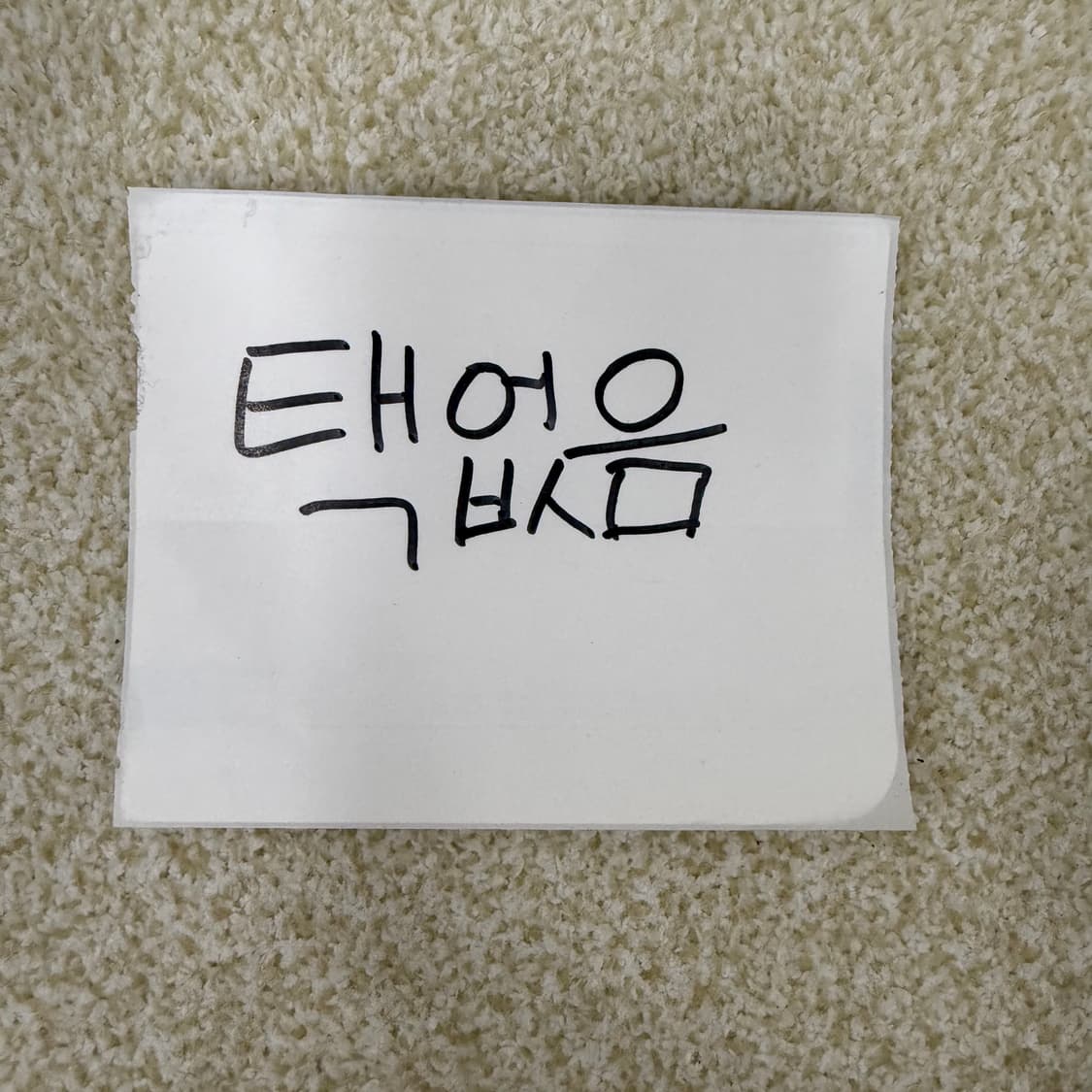 고급 여성 폴리 토트백 0123T2 상품이미지6