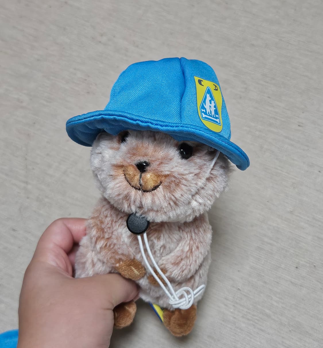 일본 강아지 모자 상품이미지4