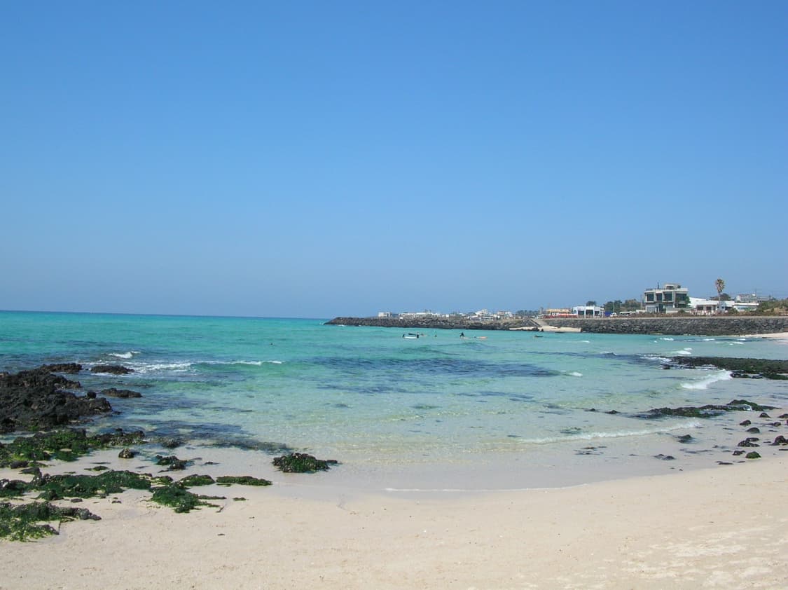 빈티지 디카 작례 O 📸 니콘 쿨픽스 4100 + 충전지 상품이미지8