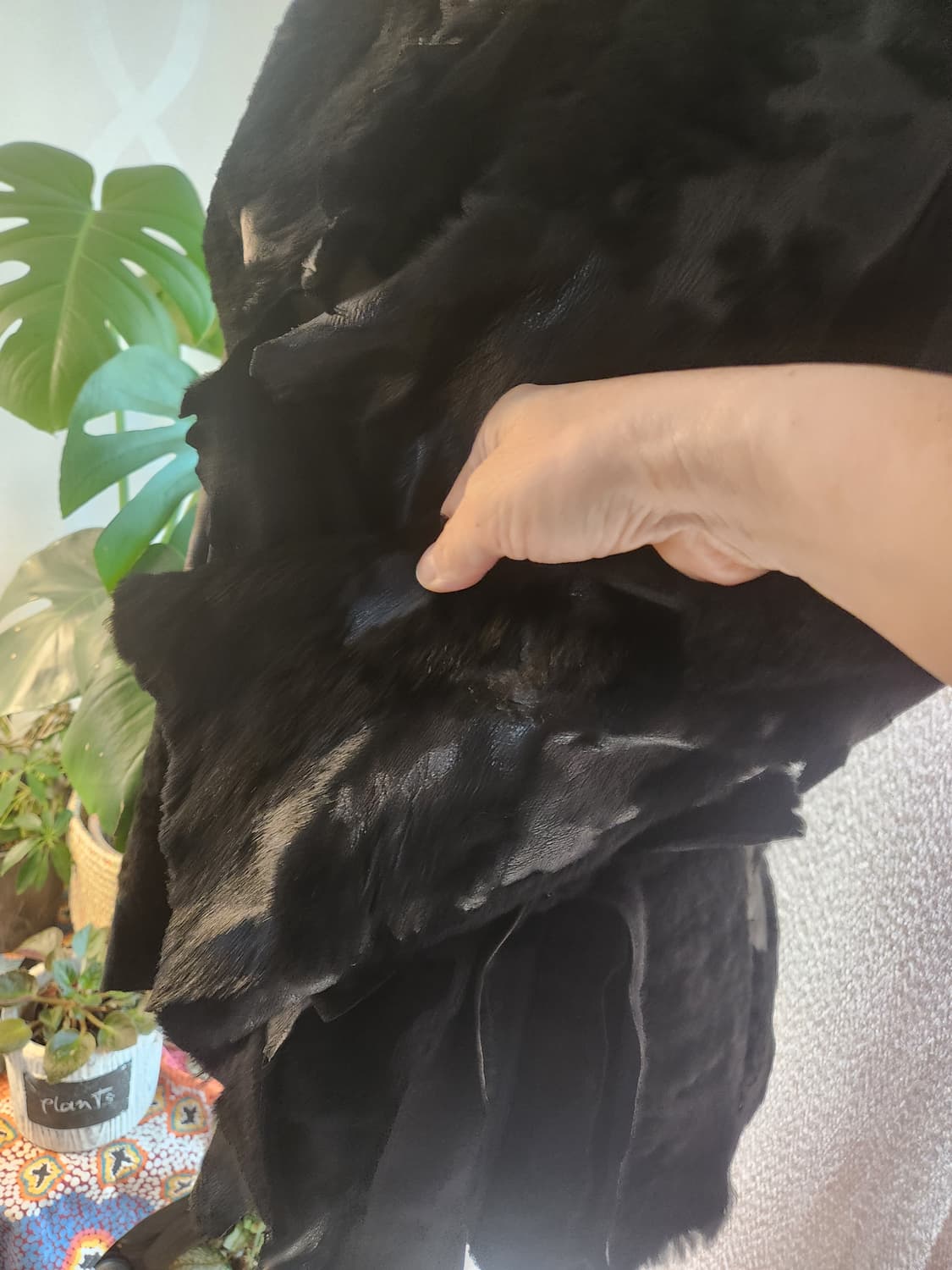 오브제 블랙 양피 퍼  자켓 상품이미지5