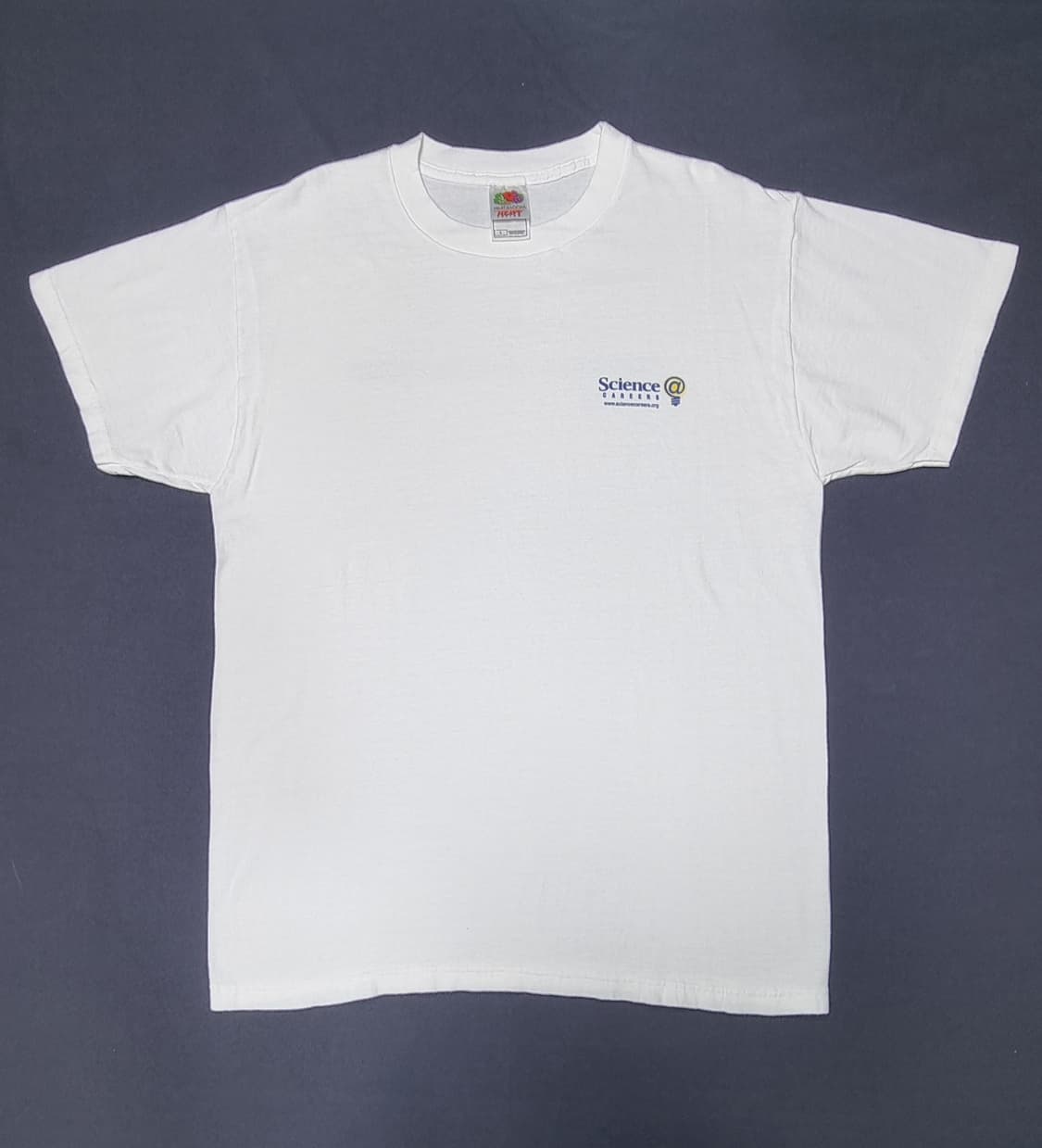 프루트오브더룸 사이언스 프린트 반팔 L _ 남성 상품이미지1