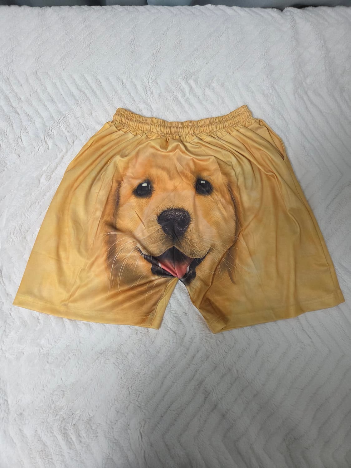 개 상품이미지1