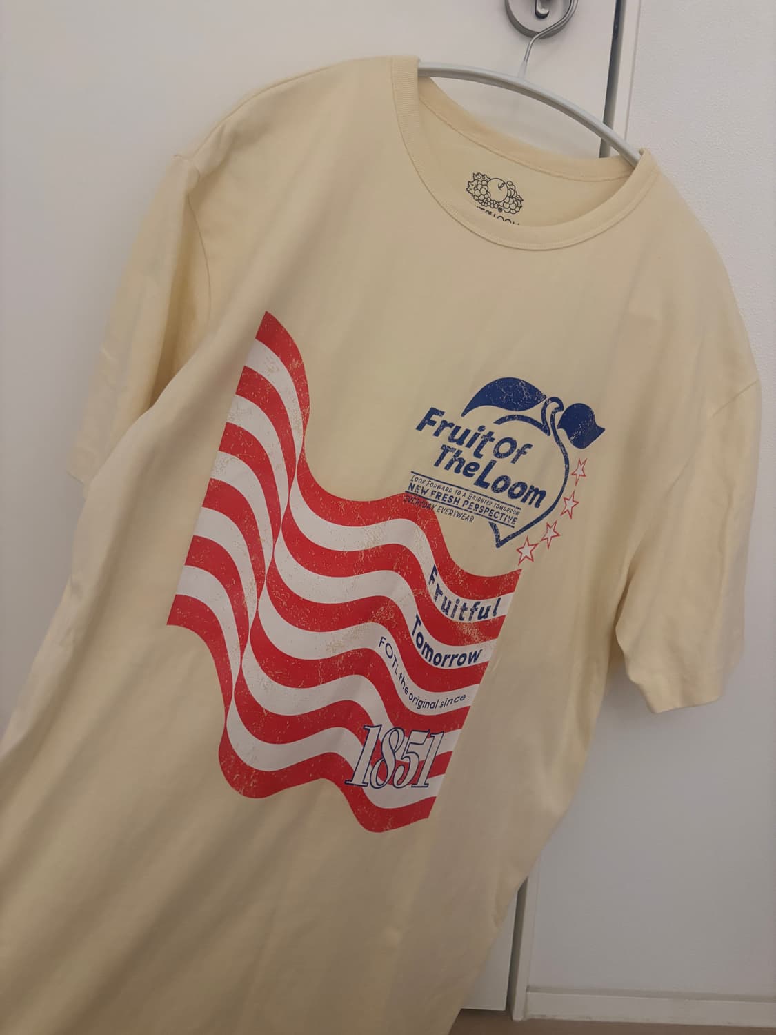 프룻오브더룸 티셔츠 (미착용 새상품) 상품이미지2