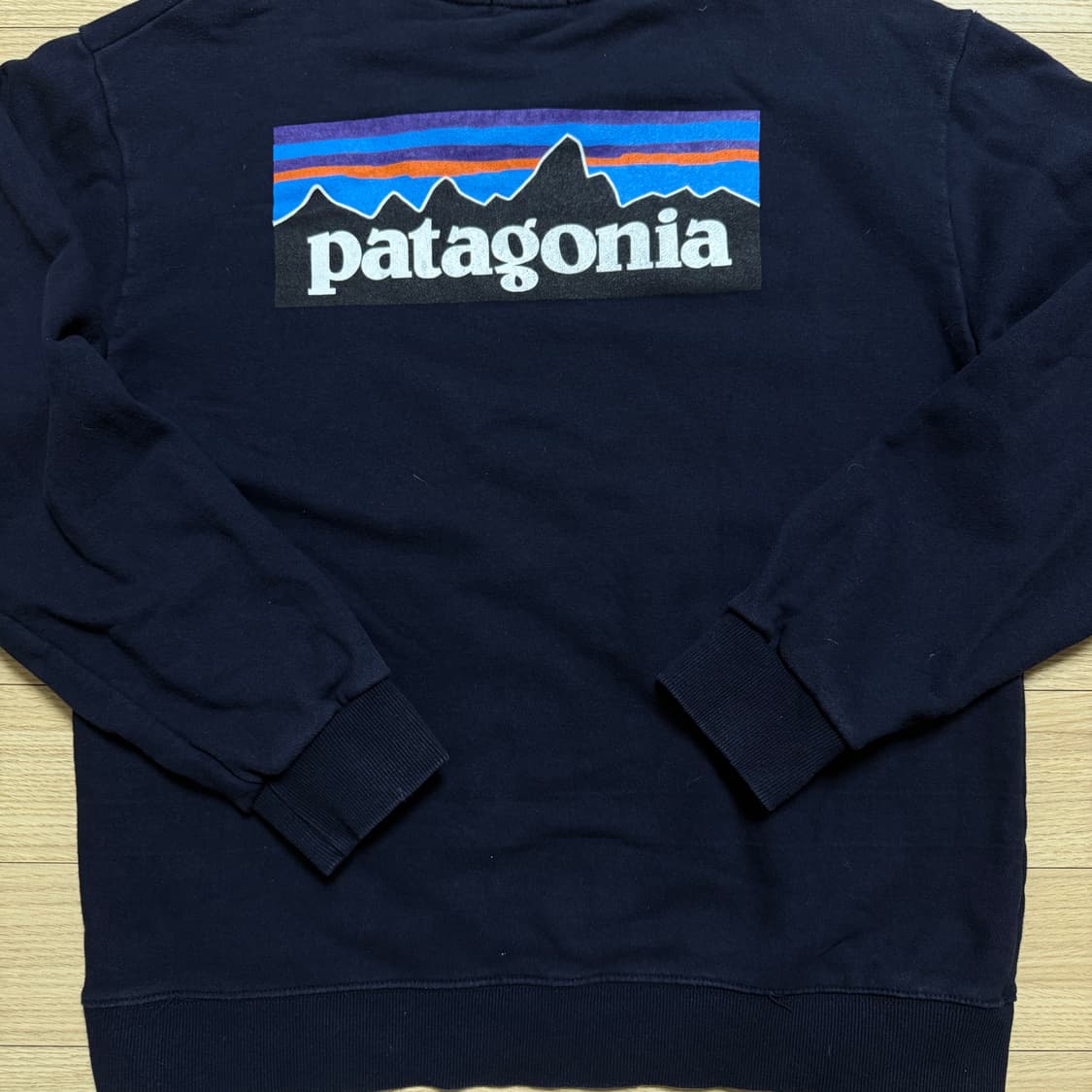 파타고니아 맨투맨 상품이미지3