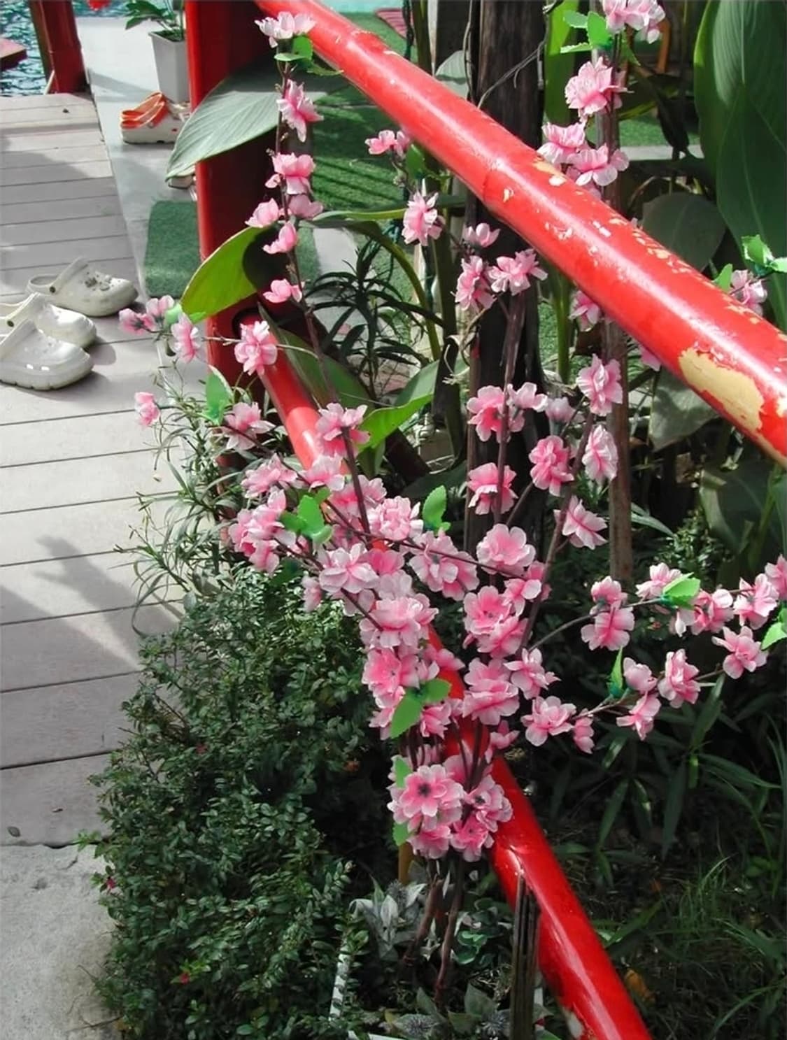 🍒 니콘 쿨픽스 880 ✨ 레트로 감성 그대로! 깔끔한 미품 디카 💕 상품이미지4