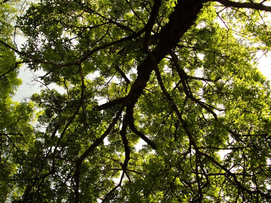 *주말할인*[신품컨디션]Sony Cybershot DSC-T90 상품이미지6