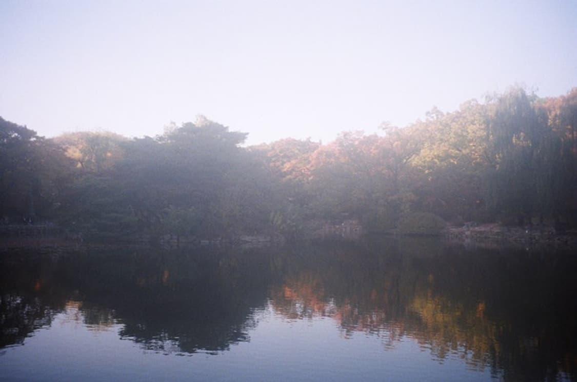 올림푸스 뮤줌 파노라마 필름카메라 (빈티지 카메라) 상품이미지6