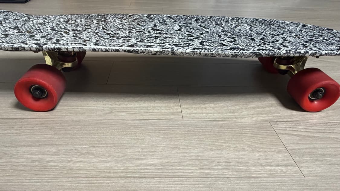 25인치 다이아몬드 서플라이 라이프 크루저 상품이미지1