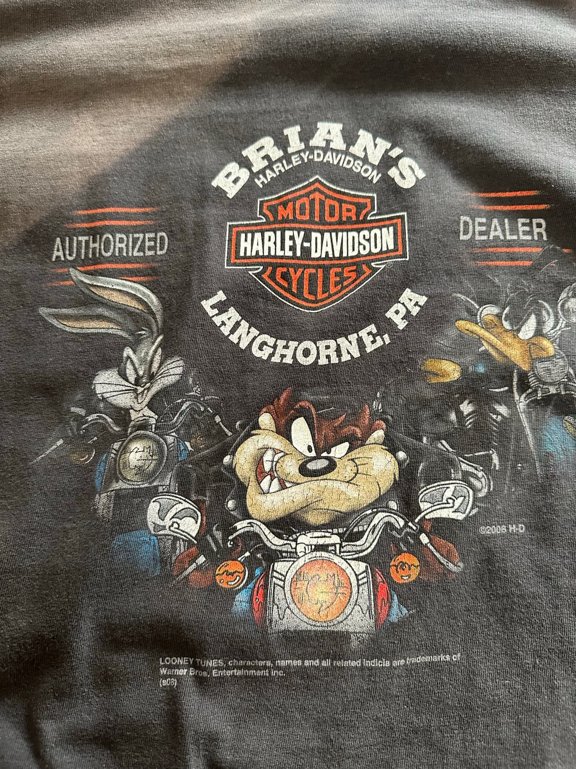 할리데이비슨 x 루니툰즈 '와일드 코요테' 파이어 롱슬리브 - 4XL 상품이미지10