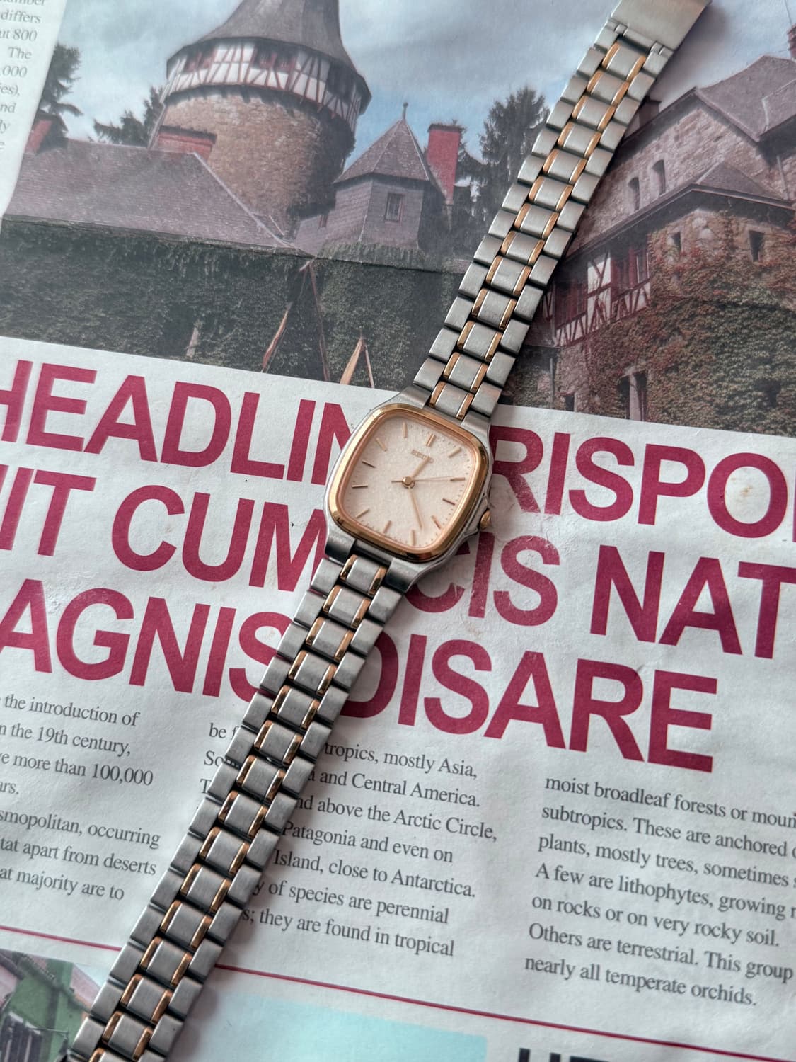 세이코 Seiko 쿼츠 콤비 공용 상품이미지2