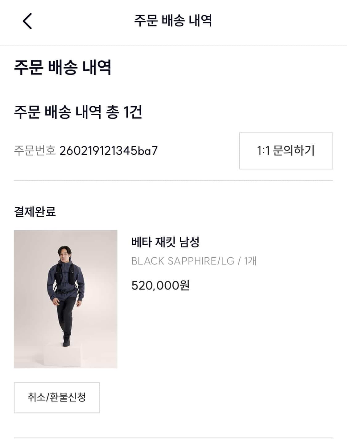 아크테릭스 블랙 사파이어 L 상품이미지2