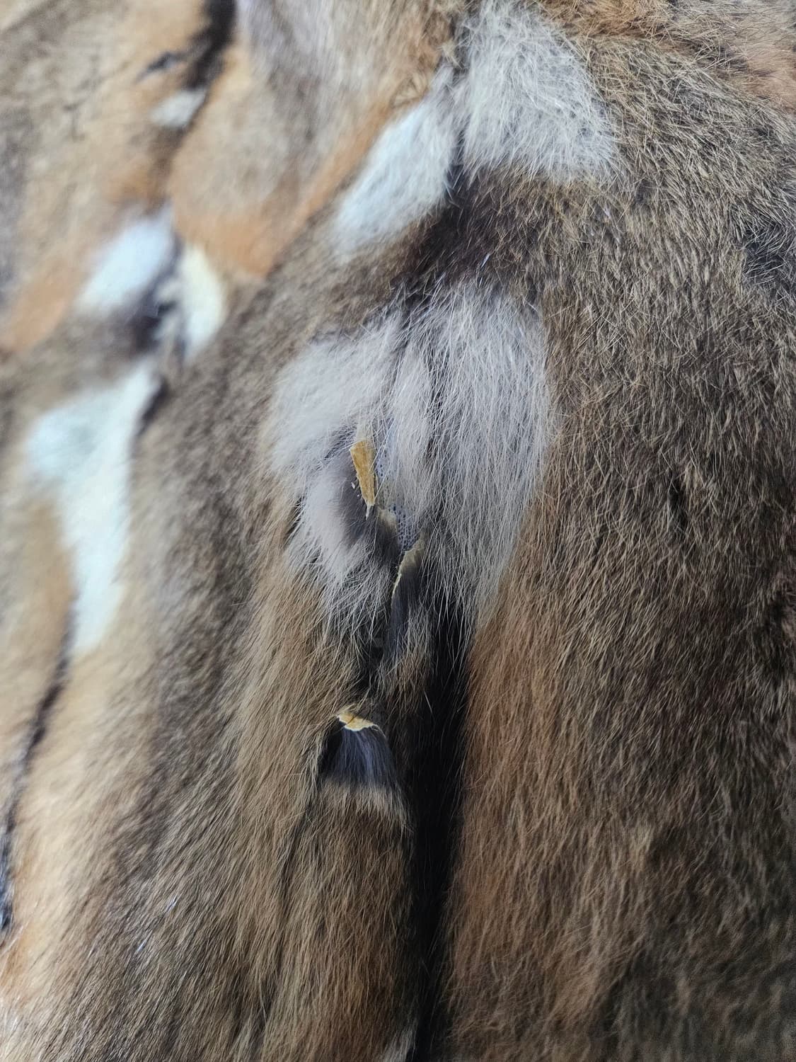 마르코 잠발도 M65 필드 자켓 상품이미지8