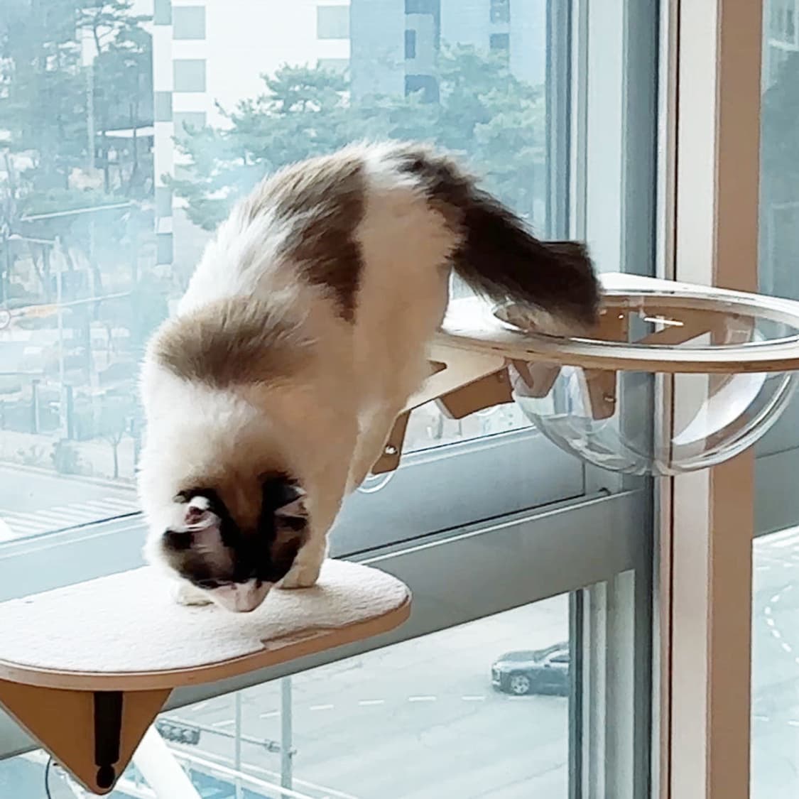 펫로지 고양이 창문 해먹 소파형 캣타워 미개봉  PetRozy Cat 상품이미지4