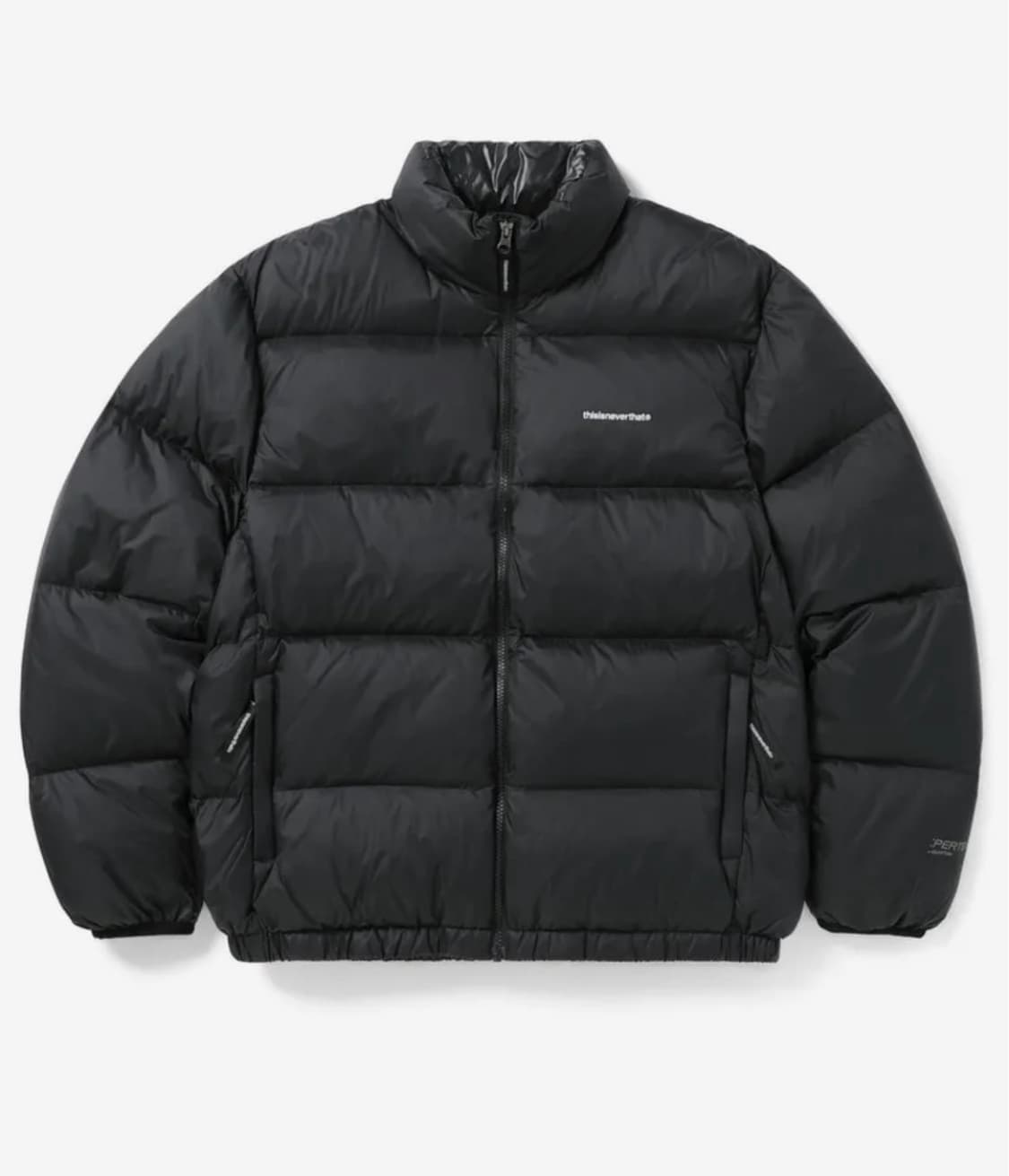 디스이즈네버댓 퍼텍스 패딩 L사이즈 상품이미지1