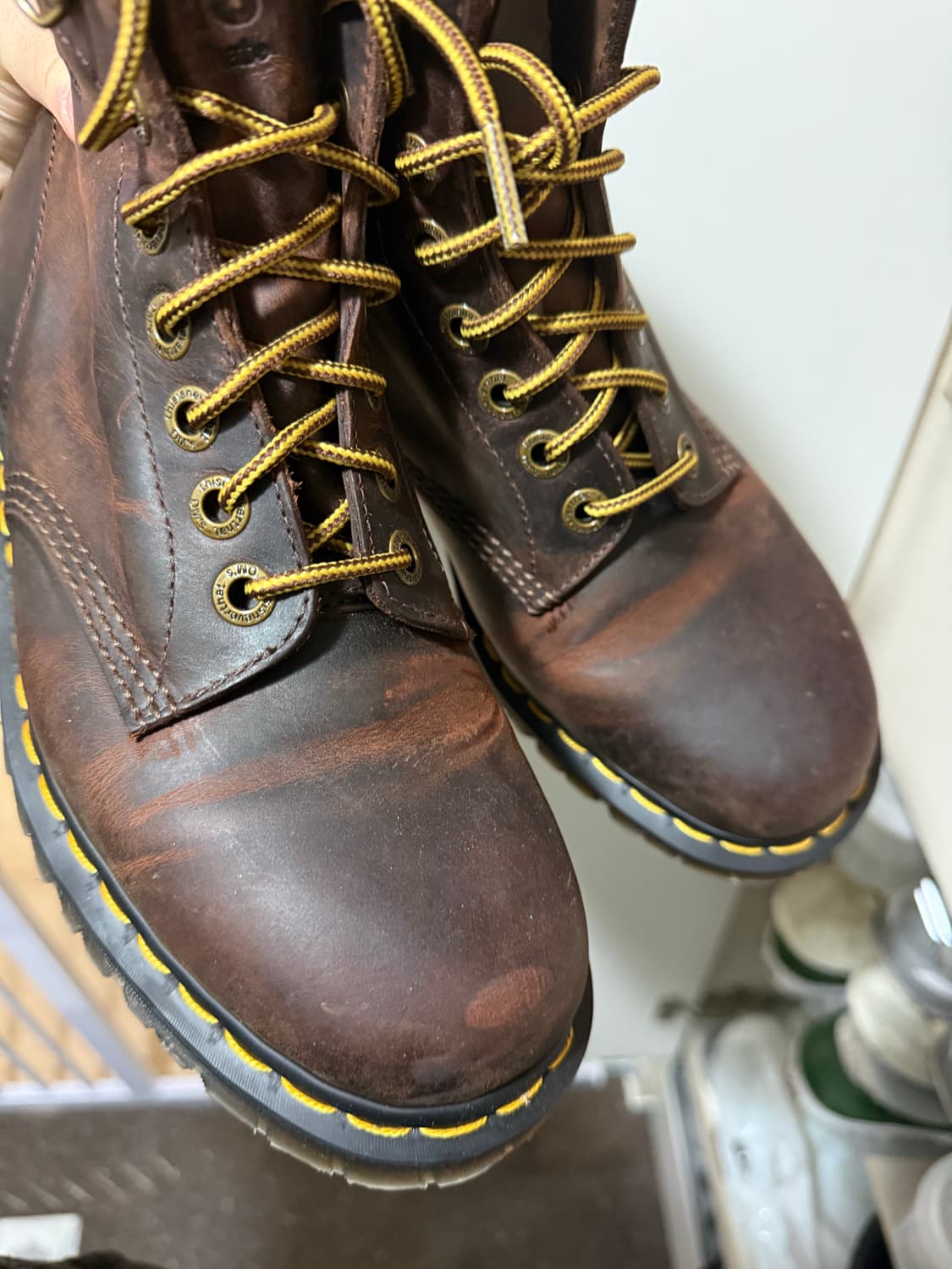 닥마 디네댓 270 상품이미지3