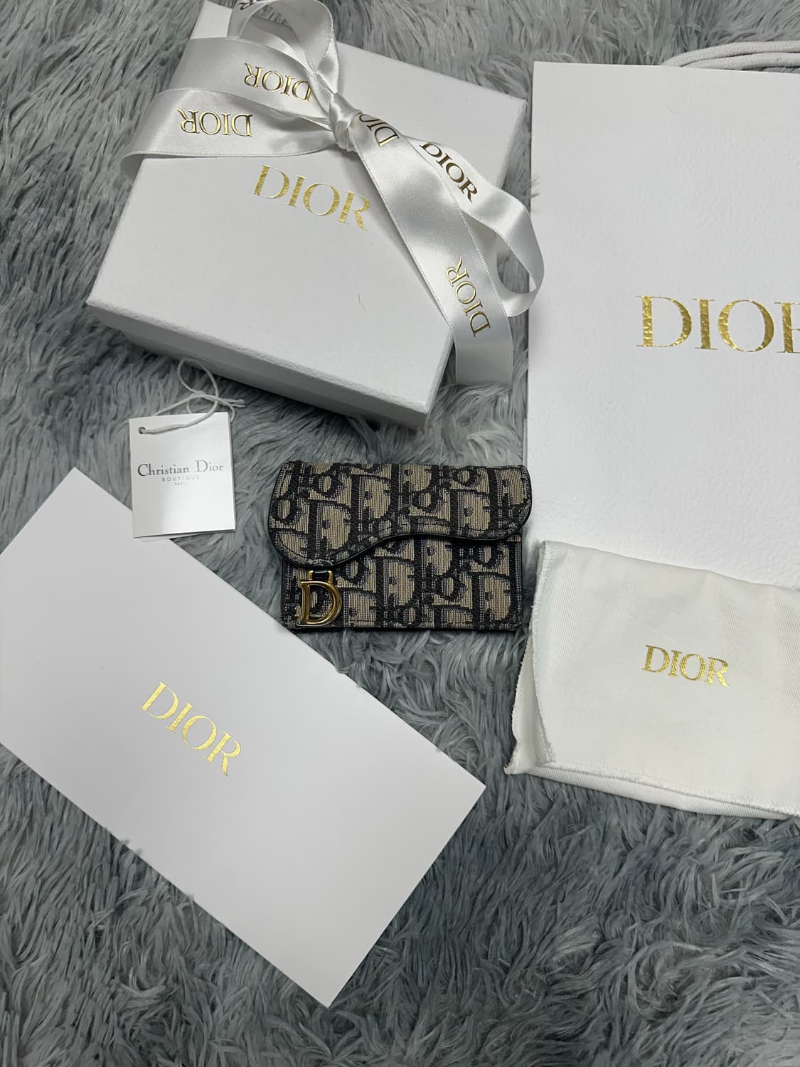 디올 오블리크 새들 카드지갑 상품이미지1