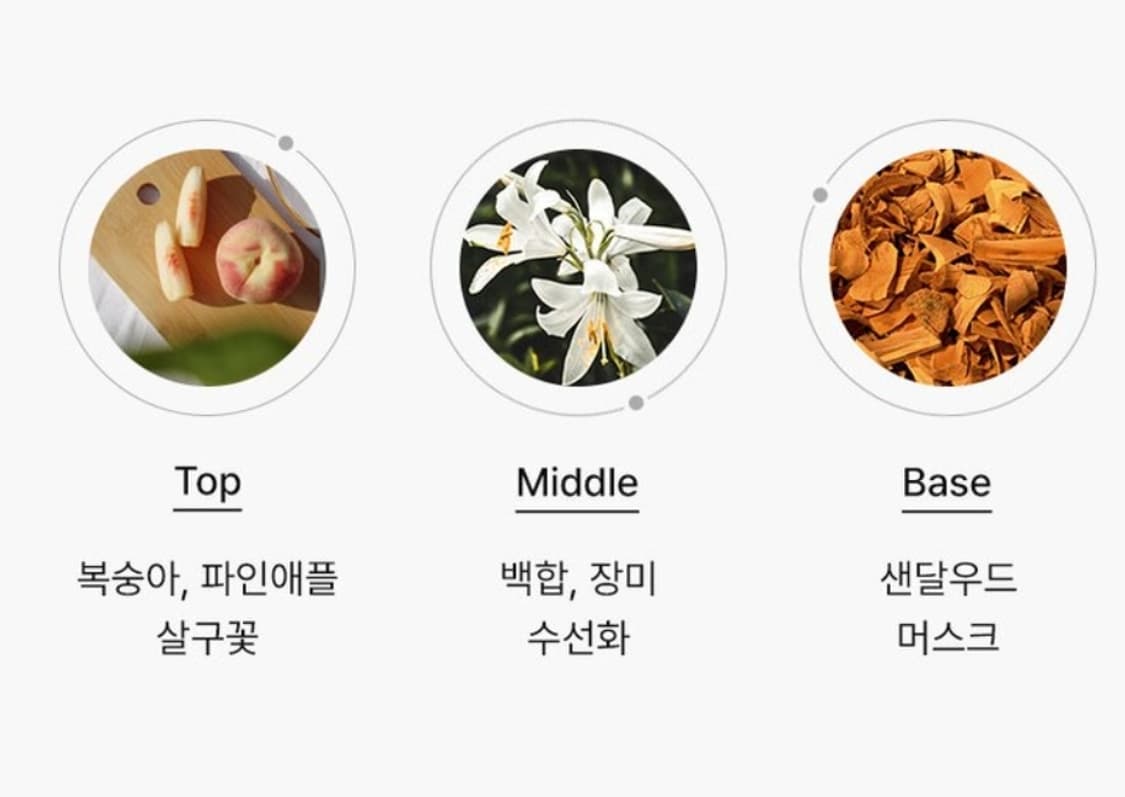 살바도르 달리 심므 오드뚜왈렛 30ml 120ml 상품이미지5