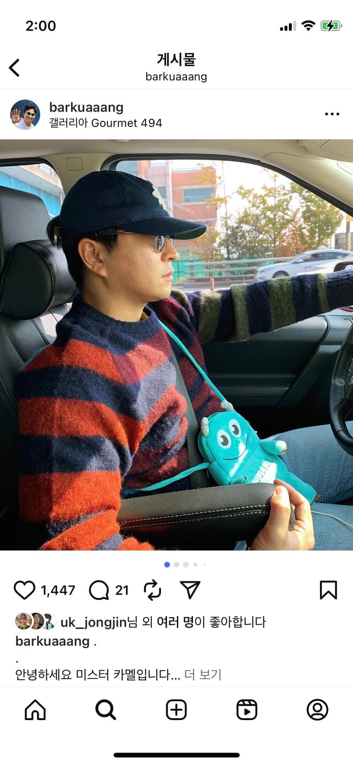 하울린 아카이브 멀티컬러 스트라이프 쉐기독 니트 미스터 카멜 사장 할리 상품이미지3