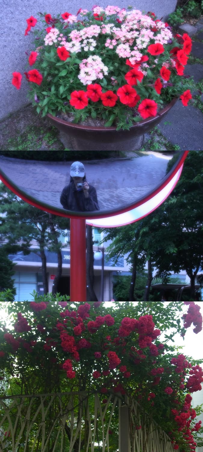 ☁️몽글 디카☁️ 리코 CX5 블랙 빈티지 디카 상품이미지8