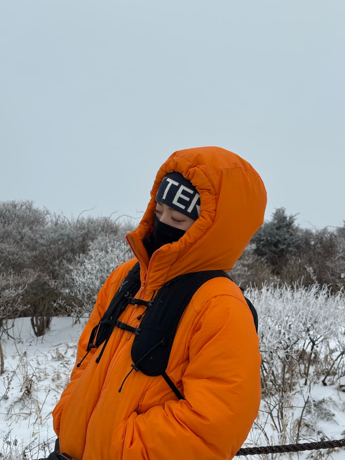 아크테릭스 누클리아이 sv 상품이미지7