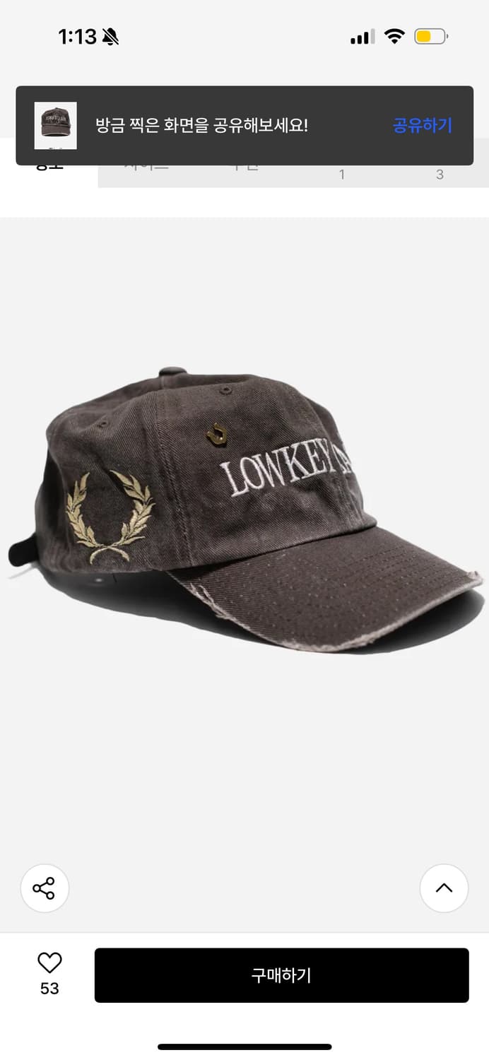 개더레이지 로우키 클래스 캡(브라운) 상품이미지2