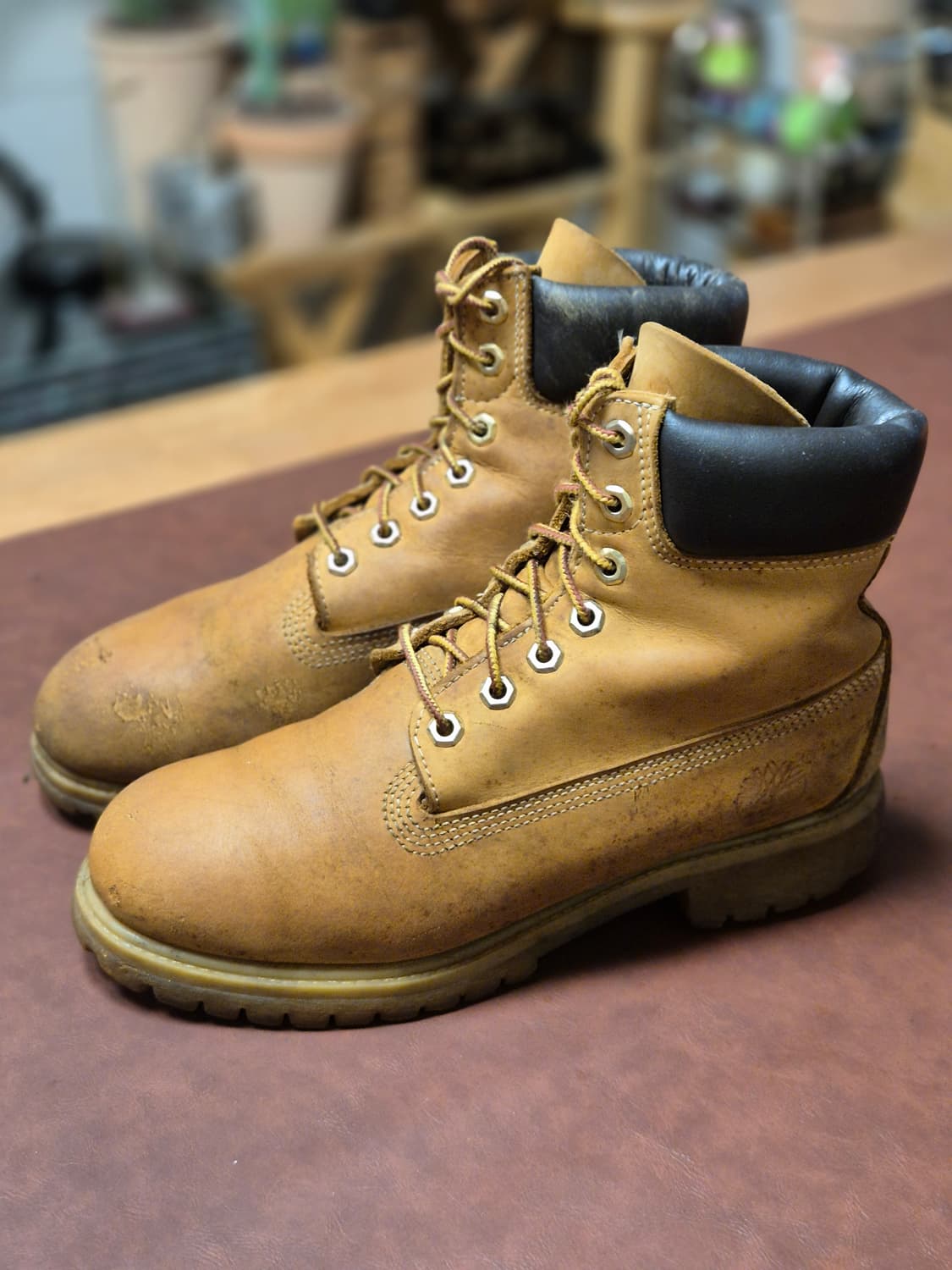 250-255 팀버랜드 6인치 부츠  상품이미지2