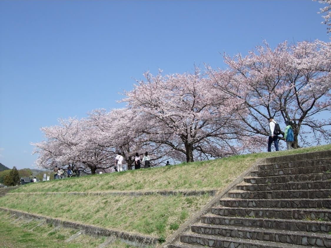 미품✨ 후지 파인픽스 F50fd 골드 ✨ 감성 가득 데일리 디카🥹 상품이미지10