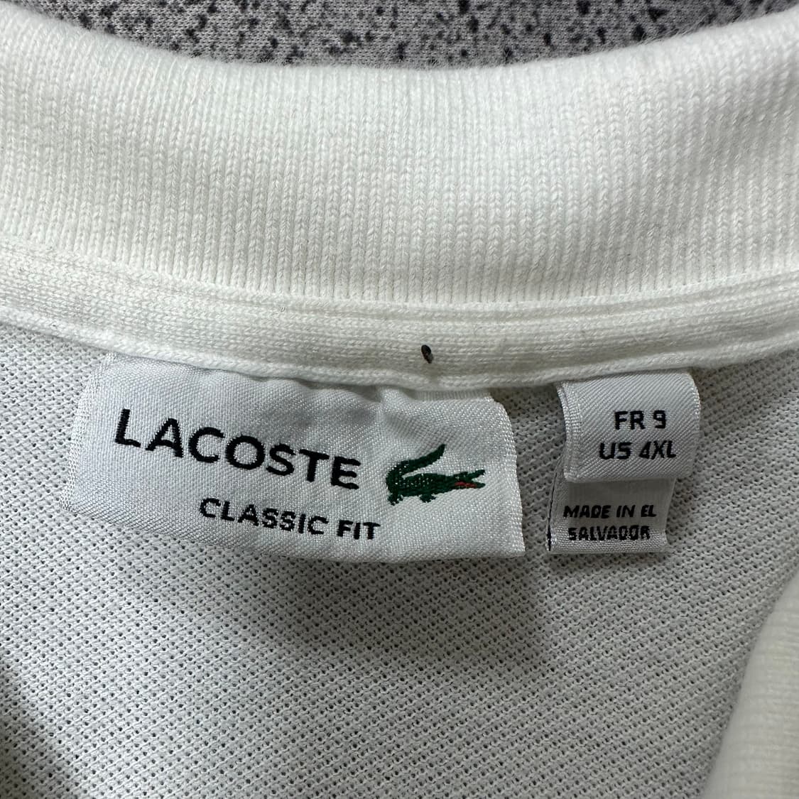 ✨ (바배) 라코스테 PK 카라 반팔티  상품이미지3