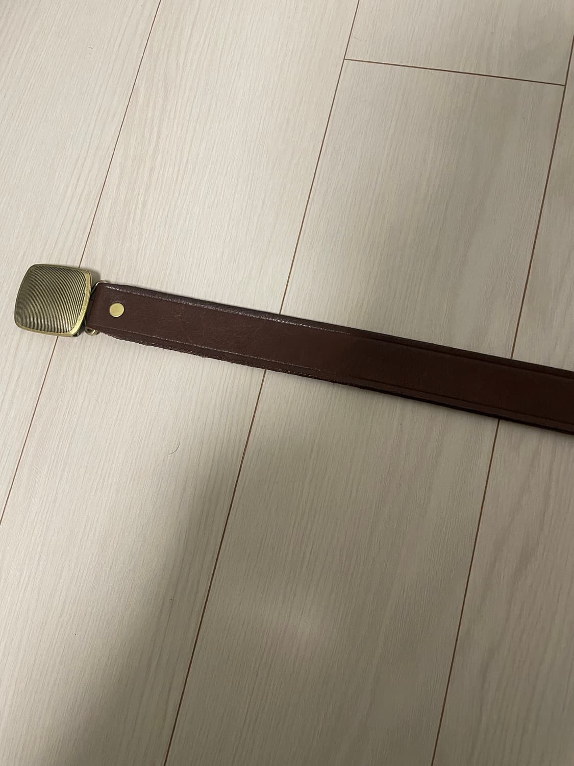 바스통 909 히콕벨트 M 상품이미지6