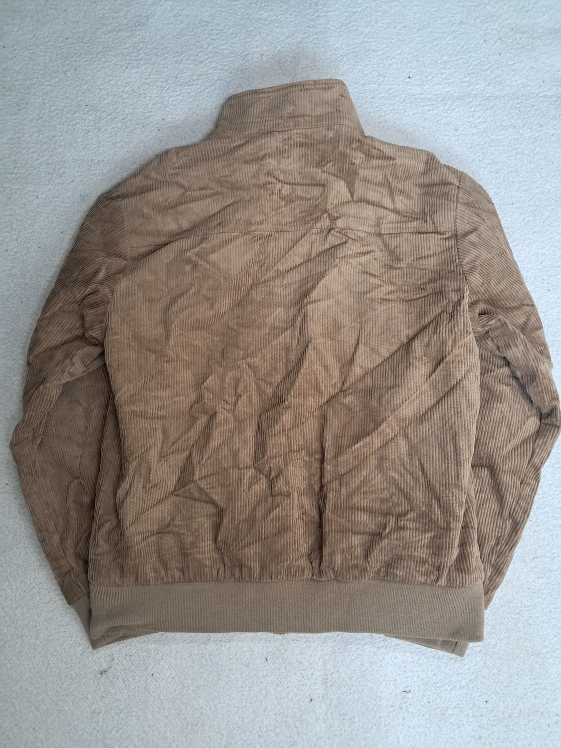 베커스 바라쿠다 상품이미지5