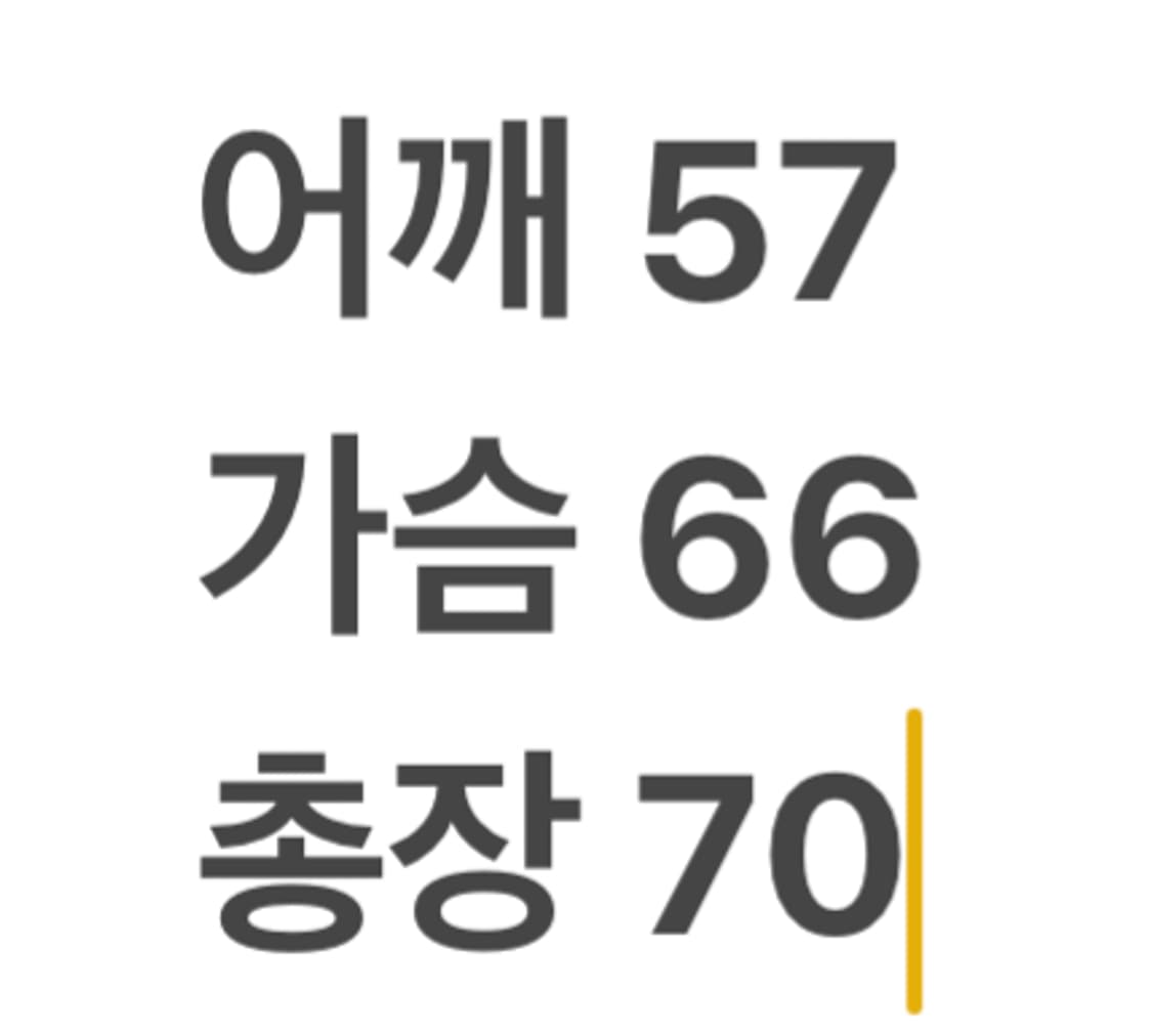 칼하트 후드집업 상품이미지7