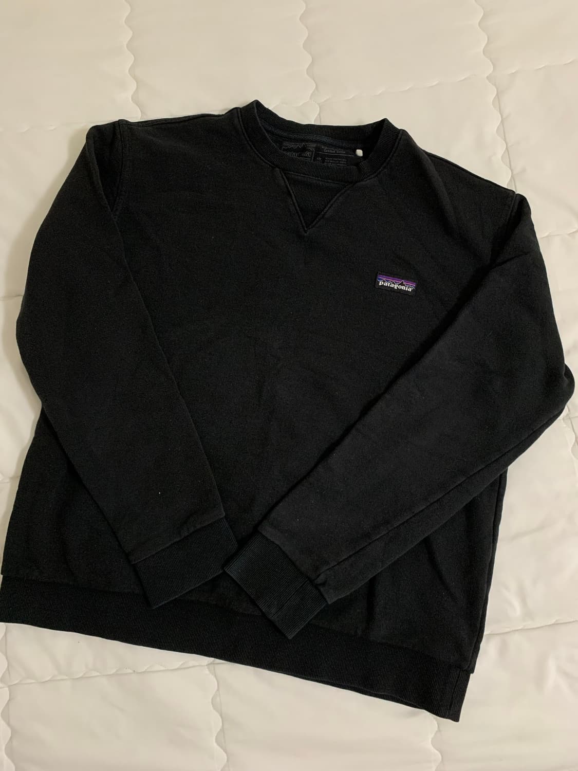 파타고니아 맨투맨 상품이미지1