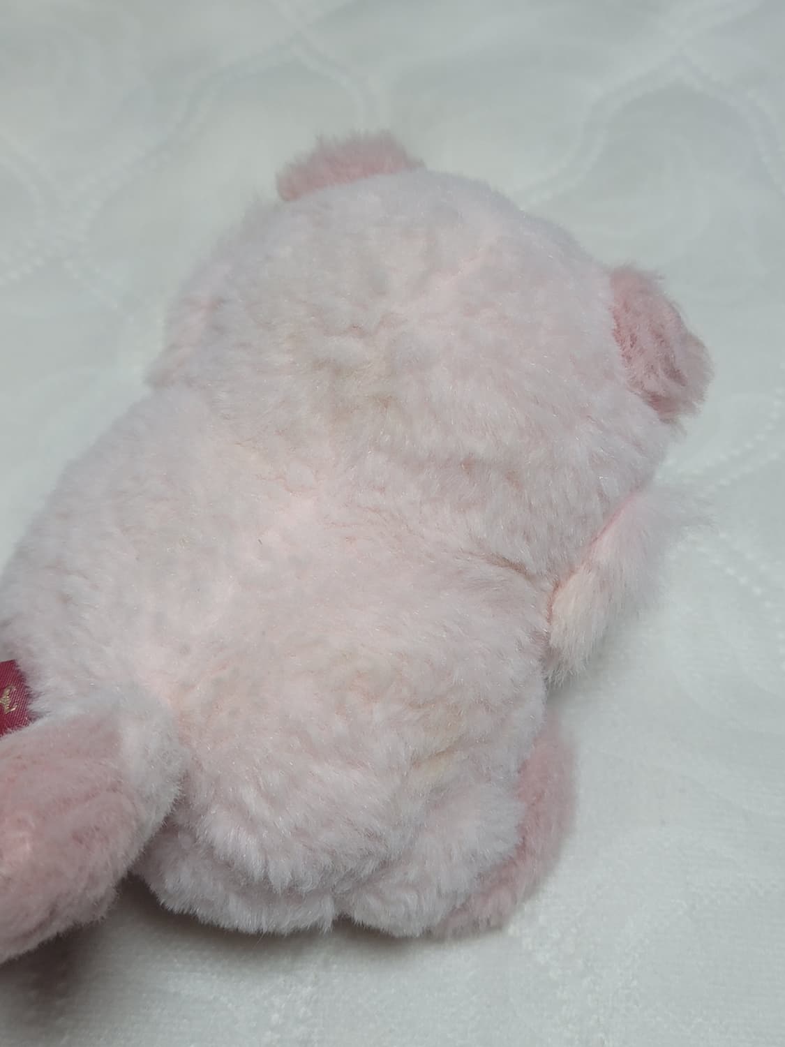 리락쿠마 코리락쿠마 스트로베리캣 마스코트 고전인형 코코아캣 코구마 고양이 상품이미지3