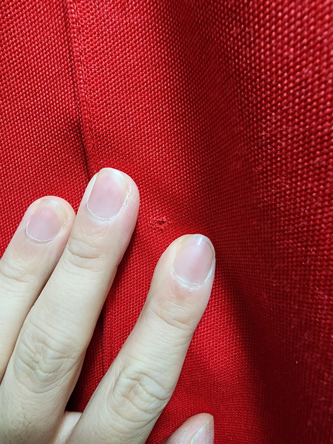 아디다스 베켄바우어 트레이닝 트랙팬츠  상품이미지3