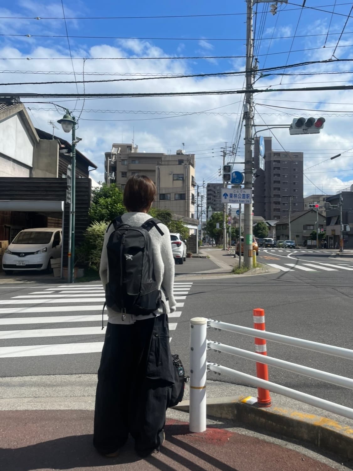 아크테릭스 아로22 백팩 상품이미지10