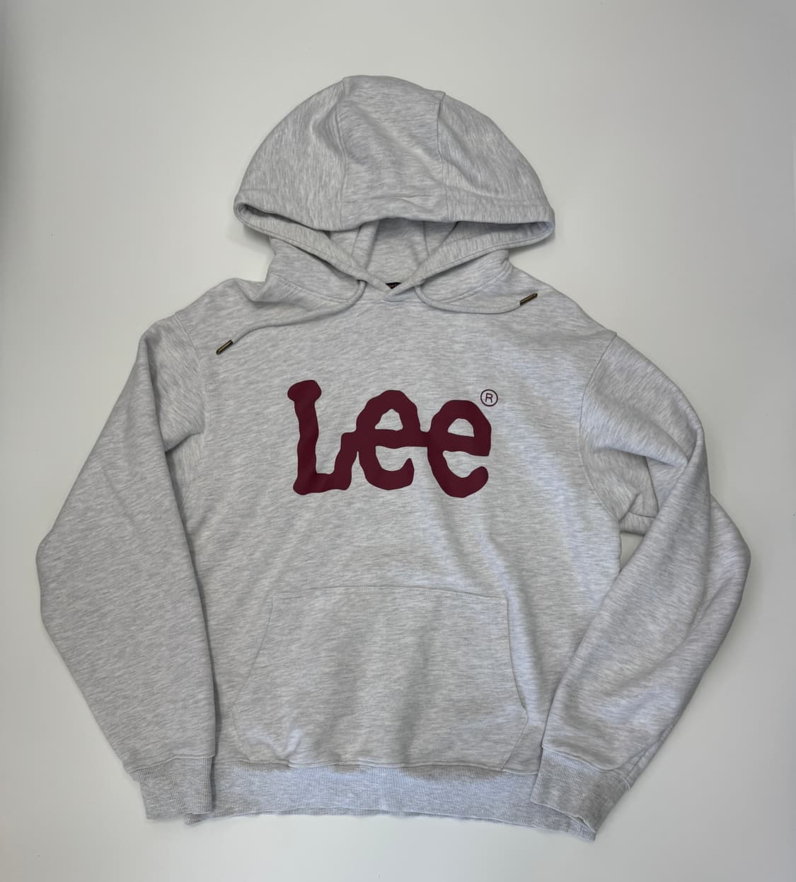 LEE 리 빅 스펠로고 스웻 후드 티셔츠 상품이미지1