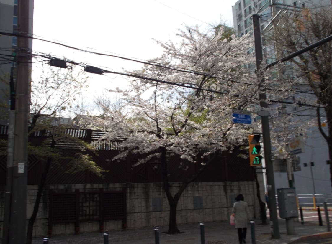 작례O) 니콘 쿨픽스 L26 상품이미지4