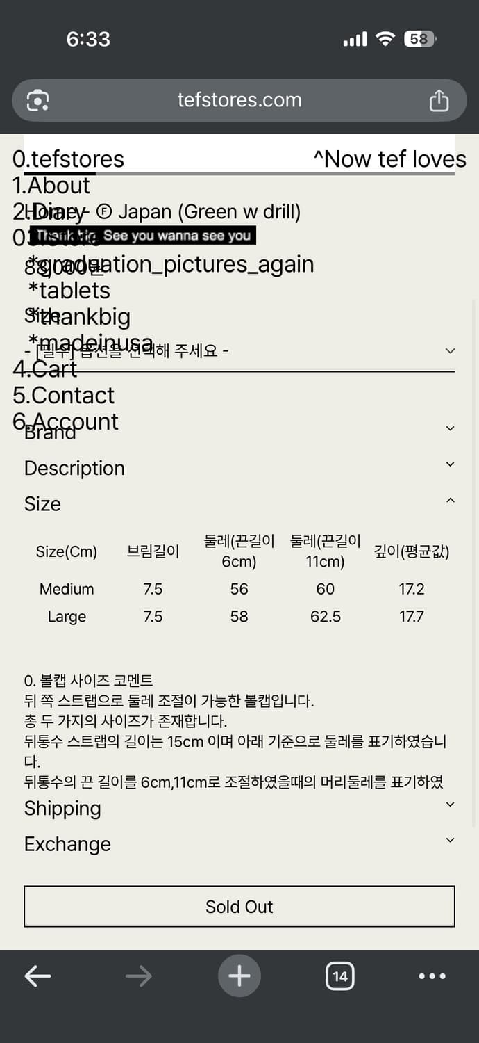 [L]테프스토어드 Home - Green 상품이미지3