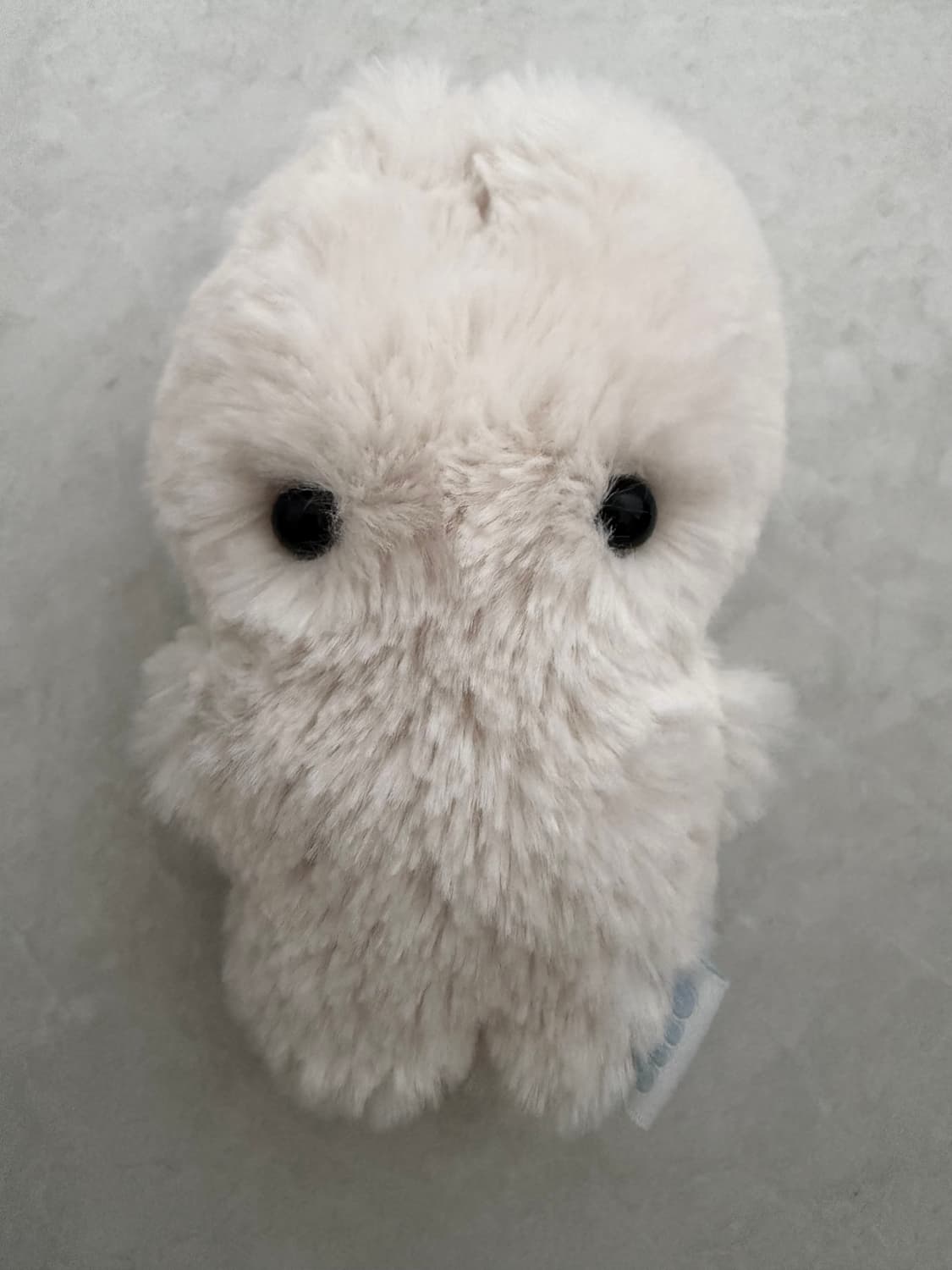 지초이 OG 지토 화이트 상품이미지1