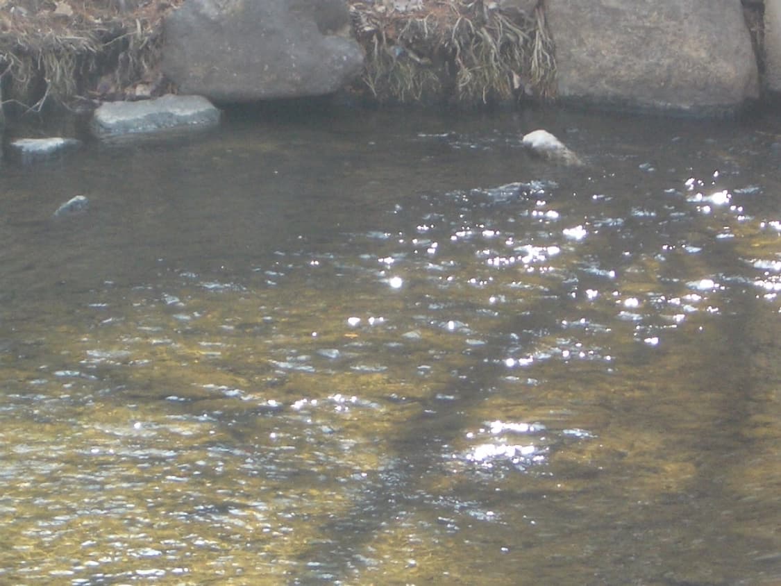 소프트필터 탑재✨🫧 Pentax Optio S4i 상품이미지7