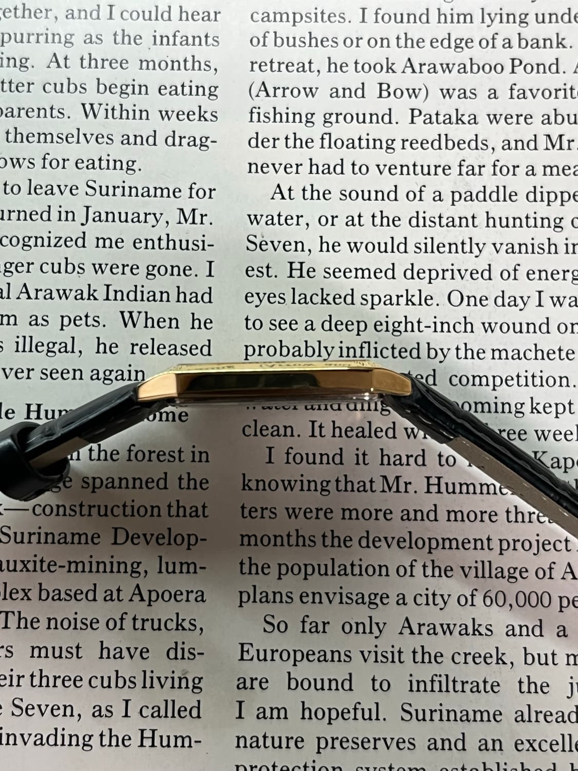 데드스탁 세이코 쿼츠 7431-5210 빈티지 드레스 워치  모델 : 세 상품이미지9