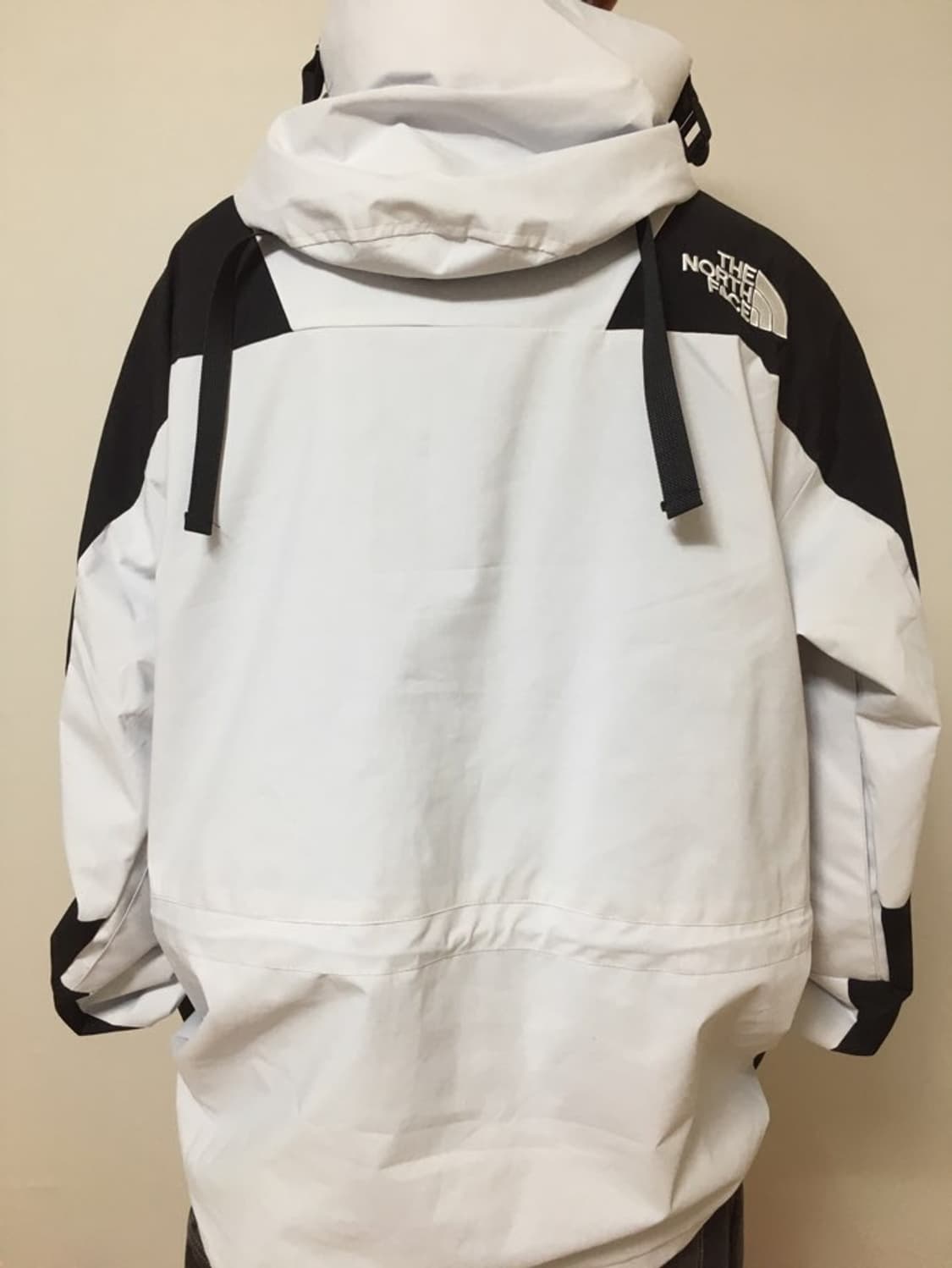 노스페이스 퓨처라이트 바람막이 상품이미지2