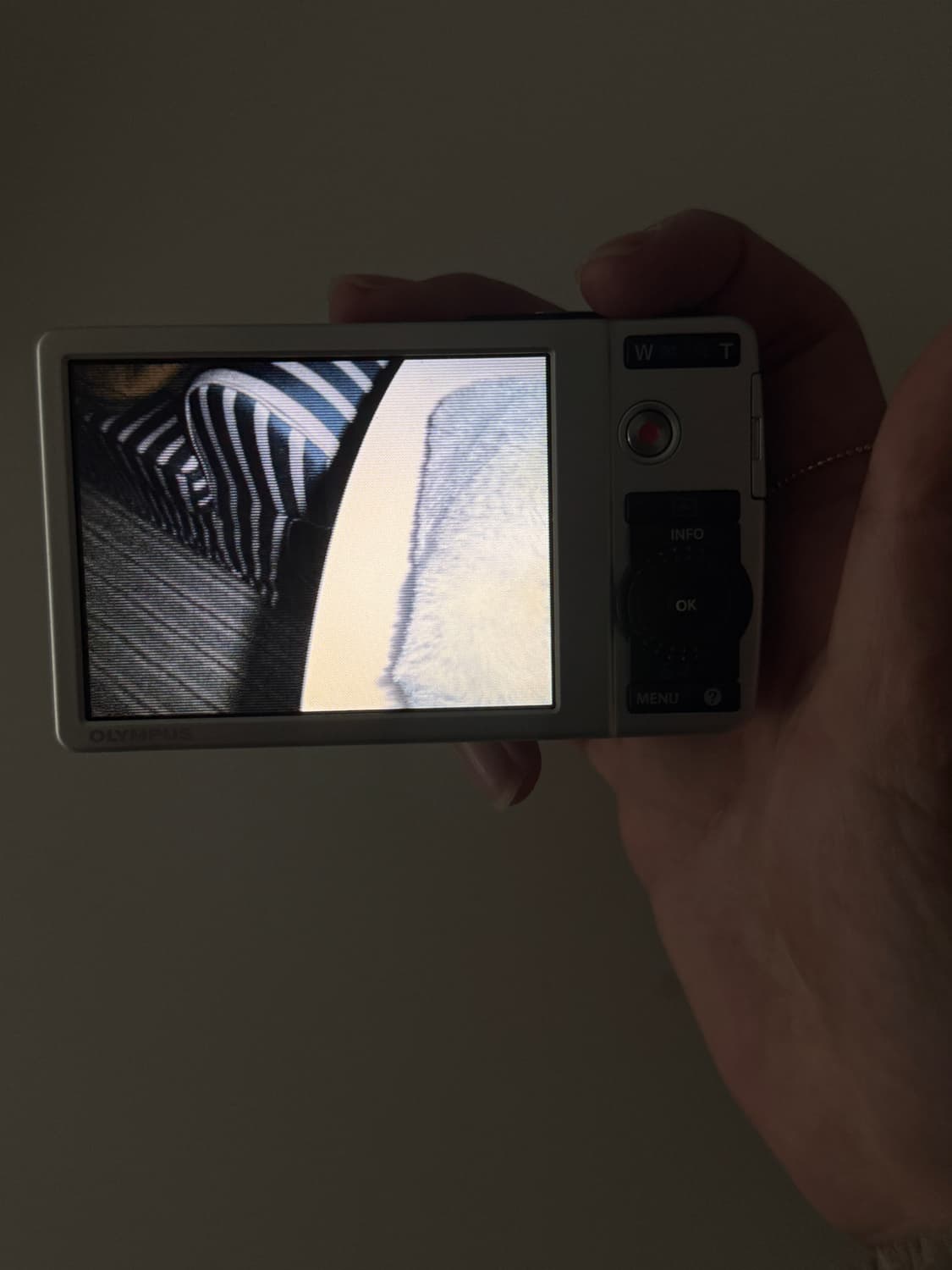 ss급 올림퓨스 뮤 7040 마지막 소장품 상품이미지3