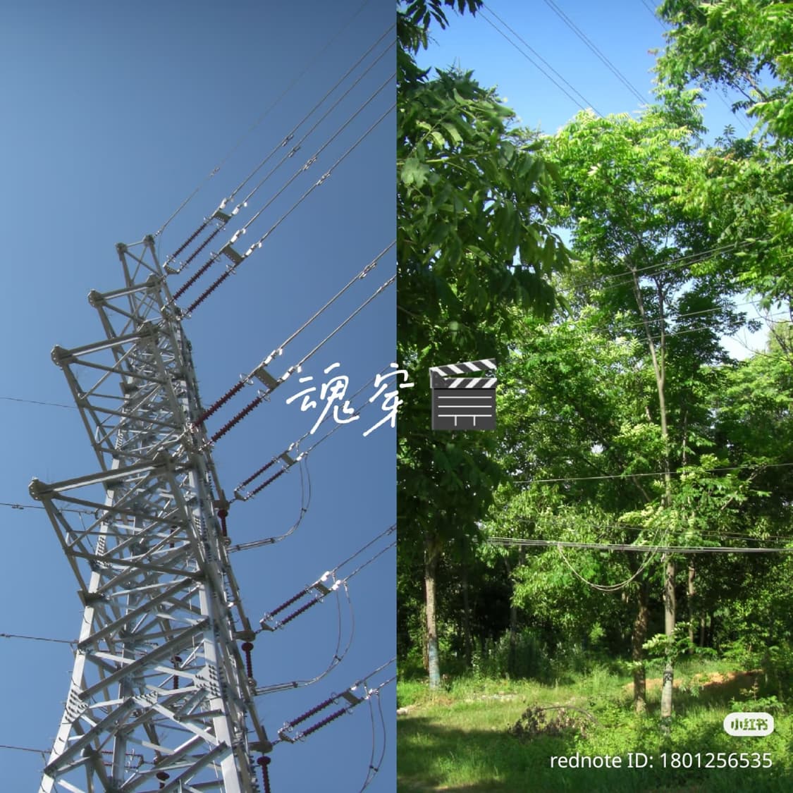 (작례O) Casio exilim EX-V8 상품이미지4