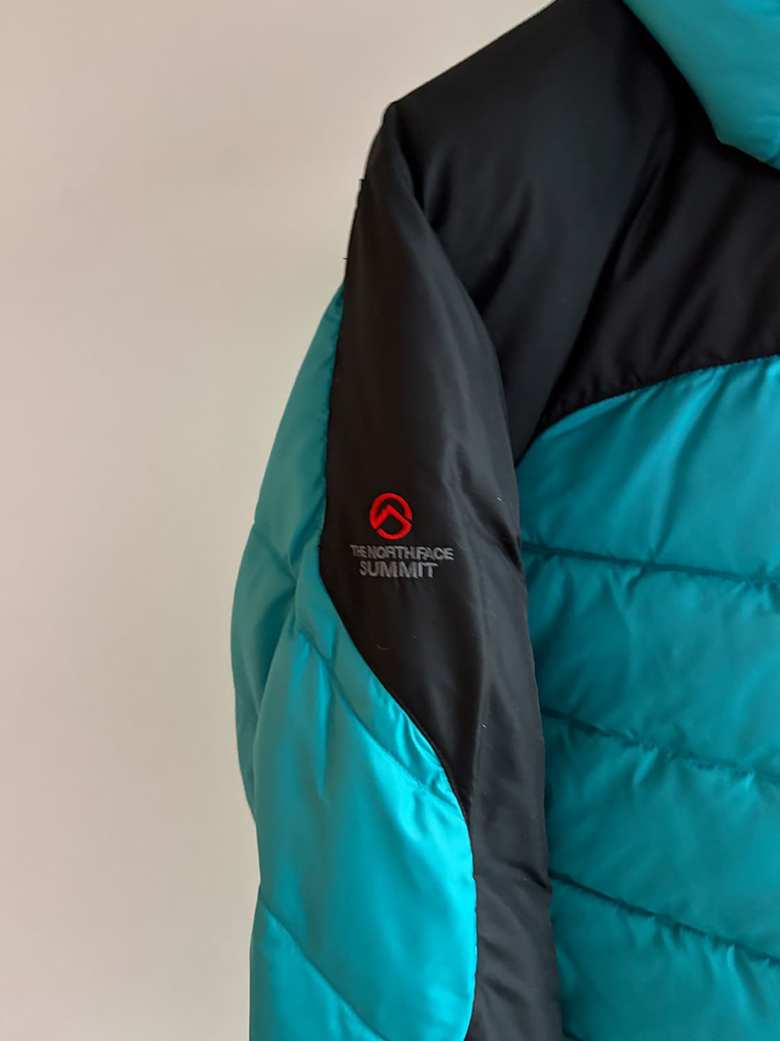 노스페이스 써밍 900 윈드스토퍼 패딩 (해외 L)  상품이미지5